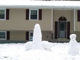 Snow Cocks 18.jpg