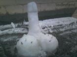 Snow Cocks 19.jpg