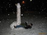 Snow Cocks 6.jpg