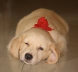 My Special Christmas gift