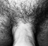 Erotica 105 2.jpg