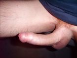 cock 2.jpg