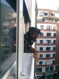 Not only are pet dogs and cats ... 16.jpg