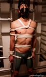 Kinky Boi's 12.jpg