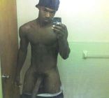 A Cock-a-palooza of Males! 19.jpg