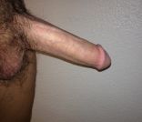 Beautiful cocks (1) 15.jpg