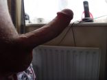 my hard dick