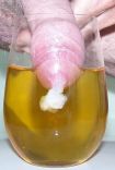 Yummy Cum 10 10.jpg
