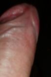 POLLAS ERECTAS 14.jpg