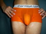 bulges 3.jpg