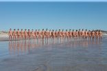 grouped gays 9.jpg