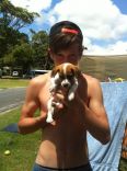 puppies 12.jpg