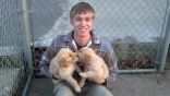 puppies 2.jpg