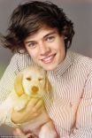 puppies 3.jpg