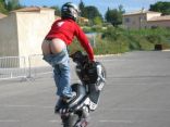 Mooning Glory 4.jpg