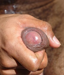 BADEN 5c39d42cb83f0.jpg