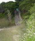 Yunny 2 5c3b69b315180.jpg