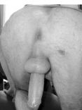 bibaut123_2 4.jpg