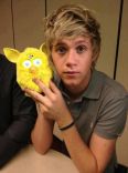 Niall 15.jpg