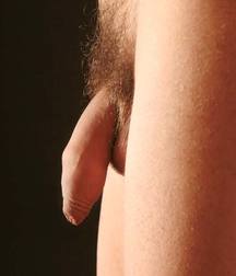 Marat 1 596d570f42b45.jpg