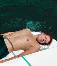 Holiday Pictures Gay tube 5fc2021cea01e.jpg