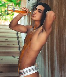 Conjunction with perception GayTube 62e29562c3ea0.jpg