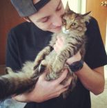 Purrrrfect 15.jpg