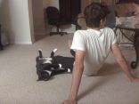 Purrrrfect 5.jpg