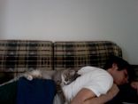 Purrrrfect 7.jpg