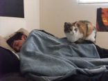 Purrrrfect 8.jpg