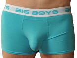Bulges 2.jpg