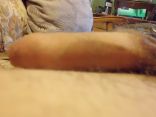 my little cock 5.jpg