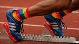 adidas 15.jpg