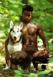 Big Black Wolve 20.jpg