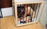 bondage 5.jpg