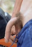 Cock 4.jpg
