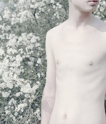 Boys Wow 589cb5d52168e.jpg