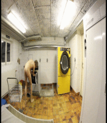 Boys GIF  59231e0a6c091.gif