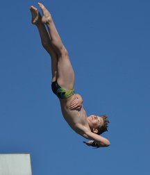 Boys Diving 597a1952da1a9.jpg