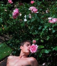 Flower Boys Twink Porn Teens Artistic 62a9f0ef4057d.webp