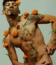 Flower Boys Twink Porn Teens Artistic 62a9f13645ffe.jpg
