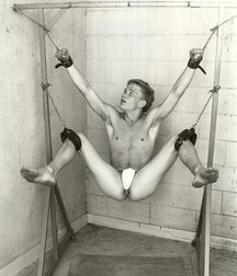 black and white 57d4aaeab0f54.jpg
