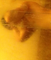 In the shower :D 563ad60fc371f.jpg