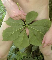 Terence : Set 1 (Mostly Outdoors) 594b34f32c846.jpg