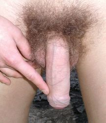 Terence : Set 1 (Mostly Outdoors) 594b361e53c83.jpg