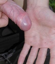 Terence : Set 1 (Mostly Outdoors) 594b364a4b299.jpg