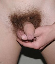 Terence : Set 1 (Mostly Outdoors) 594b37043c120.jpg