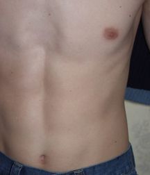 Jesse-2 (Full-Set) 5c09f5ede7e9e.jpg