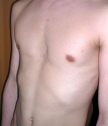 Jesse-3 (Full-Set) 5c290451ca992.jpg