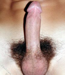 Georgey (19n Set1 Incomplete) 5dda11670638c.jpg